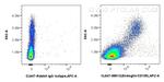 Endoglin/CD105 Antibody in Flow Cytometry (Flow)
