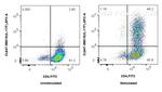 IL-17F Antibody in Flow Cytometry (Flow)