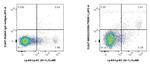 CD354/TREM-1 Antibody in Flow Cytometry (Flow)