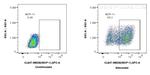 MCP-1 Antibody in Flow Cytometry (Flow)