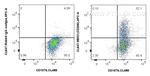 CD206 Antibody in Flow Cytometry (Flow)