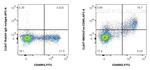 Fas/CD95 Antibody in Flow Cytometry (Flow)