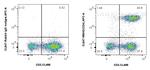 CD4 Antibody in Flow Cytometry (Flow)