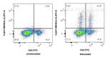 IL-2 Antibody in Flow Cytometry (Flow)