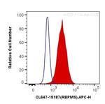 RBPMS Antibody in Flow Cytometry (Flow)