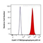 Synaptophysin Antibody in Flow Cytometry (Flow)