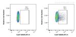6x His, His-Tag Antibody in Flow Cytometry (Flow)