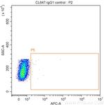 6x His, His-Tag Antibody in Flow Cytometry (Flow)