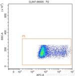 6x His, His-Tag Antibody in Flow Cytometry (Flow)