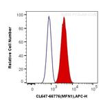 MFN1 Antibody in Flow Cytometry (Flow)