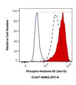 Phospho-Histone H3 (Ser10) Antibody in Flow Cytometry (Flow)