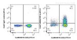 TNF Alpha Antibody in Flow Cytometry (Flow)