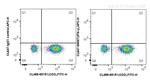 IFN Gamma Antibody in Flow Cytometry (Flow)