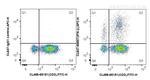 IFN Gamma Antibody in Flow Cytometry (Flow)