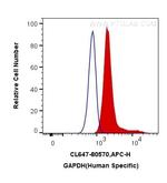 GAPDH Antibody in Flow Cytometry (Flow)