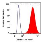 Talin-1 Antibody in Flow Cytometry (Flow)