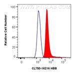 HBB Antibody in Flow Cytometry (Flow)