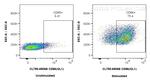 CD86 Antibody in Flow Cytometry (Flow)