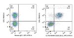CD28 Antibody in Flow Cytometry (Flow)
