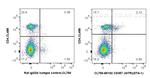 CD357 (GITR) Antibody in Flow Cytometry (Flow)