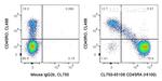 CD45RA Antibody in Flow Cytometry (Flow)