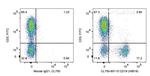CD19 Antibody in Flow Cytometry (Flow)