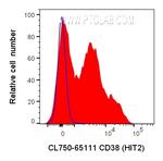CD38 Antibody in Flow Cytometry (Flow)