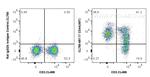 CD44 Antibody in Flow Cytometry (Flow)