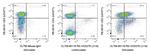 PD-1/CD279 Antibody in Flow Cytometry (Flow)