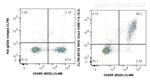 MHC Class II (I-A/I-E) Antibody in Flow Cytometry (Flow)