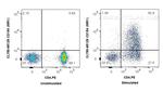 CD40L/CD154 Antibody in Flow Cytometry (Flow)