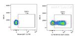 CD27 Antibody in Flow Cytometry (Flow)