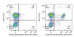 CD8a Antibody in Flow Cytometry (Flow)