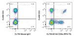 CD8a Antibody in Flow Cytometry (Flow)