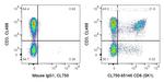 CD8 Antibody in Flow Cytometry (Flow)