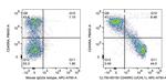 CD45RO Antibody in Flow Cytometry (Flow)
