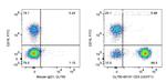 CD3 Antibody in Flow Cytometry (Flow)