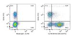 CD5 Antibody in Flow Cytometry (Flow)