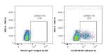 CD8a Antibody in Flow Cytometry (Flow)