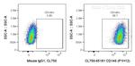 CD146 Antibody in Flow Cytometry (Flow)