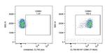 CD68 Antibody in Flow Cytometry (Flow)