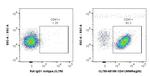CD41 Antibody in Flow Cytometry (Flow)