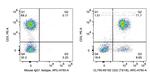 CD2 Antibody in Flow Cytometry (Flow)