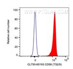 CD58 Antibody in Flow Cytometry (Flow)