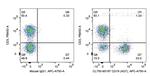 CD19 Antibody in Flow Cytometry (Flow)