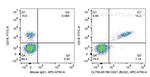 CD21 Antibody in Flow Cytometry (Flow)