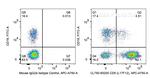 CD5 Antibody in Flow Cytometry (Flow)