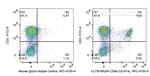 CD8 Antibody in Flow Cytometry (Flow)
