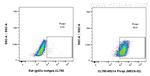 PLVAP Antibody in Flow Cytometry (Flow)