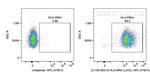 HLA-DR Antibody in Flow Cytometry (Flow)
